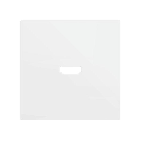 Zennio - ZS70 - Cache pour Connecteur HDMI