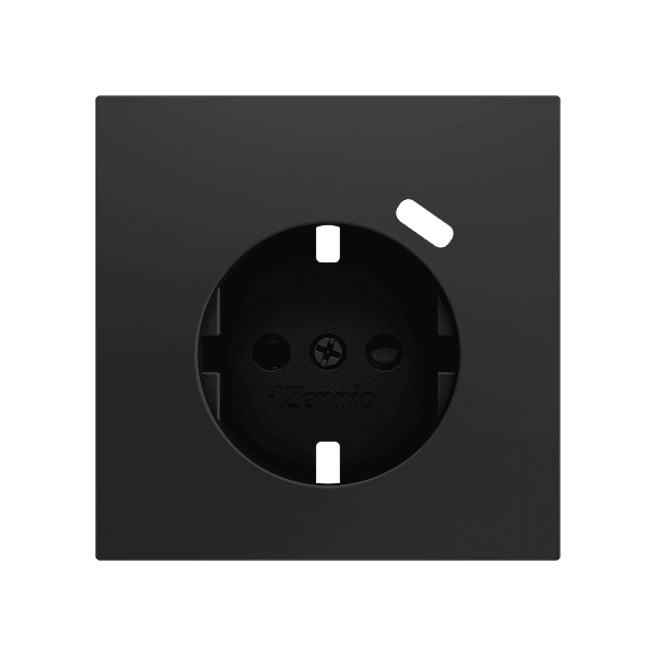 Zennio - ZS70 - Cache pour Prise Schuko avec USB C