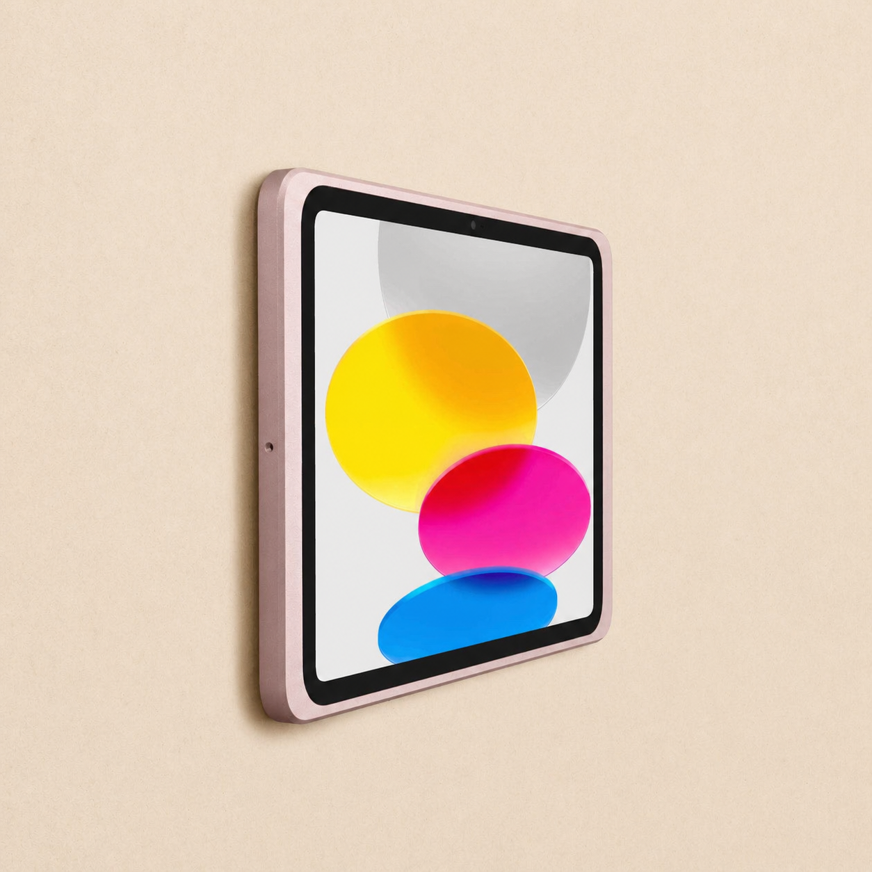 Displine - Dame Wall 2.0