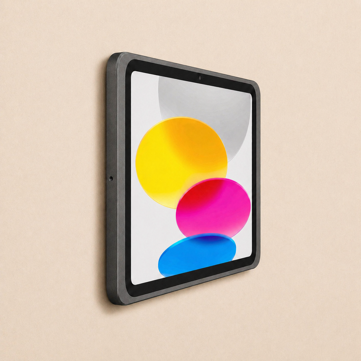 Displine - Dame Wall 2.0