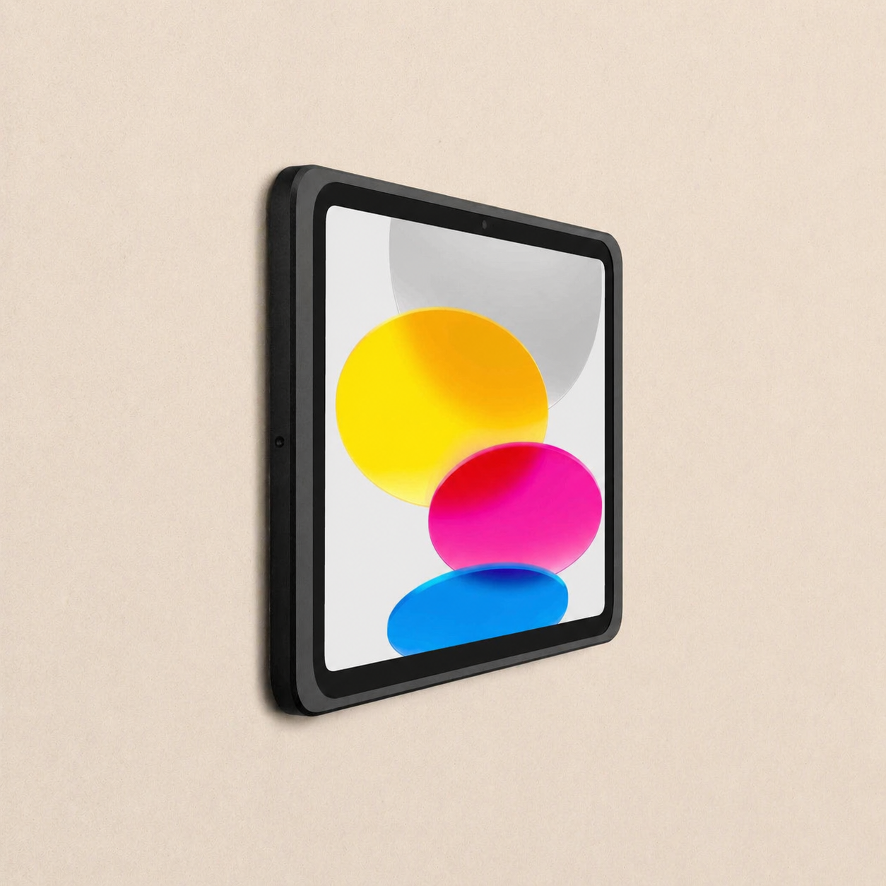 Displine - Dame Wall 2.0