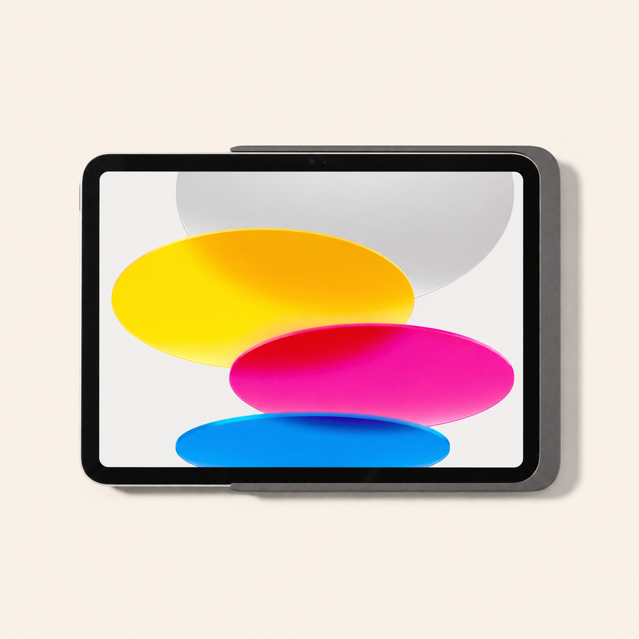 Displine - Dame Wall Home 2.0